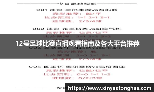 12号足球比赛直播观看指南及各大平台推荐